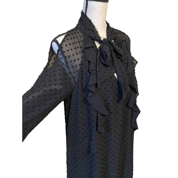 ZARA Plumetis Dress Bow Neckline Black Swiss Dot Size Large Ruffles Line… - Picture 7 of 12